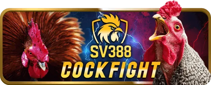 Ví điện tử Momo ZaloPay ViettelPay bong88 info